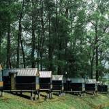 Rekomendasi Glamping Ramah Keluarga di Malang Raya untuk Libur Tahun Baru