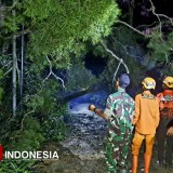 Waspada Angin Kencang dan Pohon Tumbang di Tengah Libur Nataru