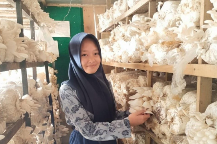 Dari Sekolah ke Pasar: 'Sepatu Kita' SMPN 1 Arjosari Pacitan Panen Ilmu dan Jamur Tiram