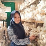 Dari Sekolah ke Pasar: 'Sepatu Kita' SMPN 1 Arjosari Pacitan Panen Ilmu dan Jamur Tiram