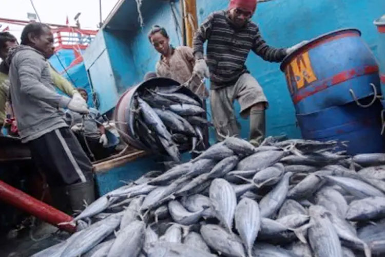 NTB Arahkan Perikanan ke Nilai Tambah, Hilirisasi Jadi Kunci