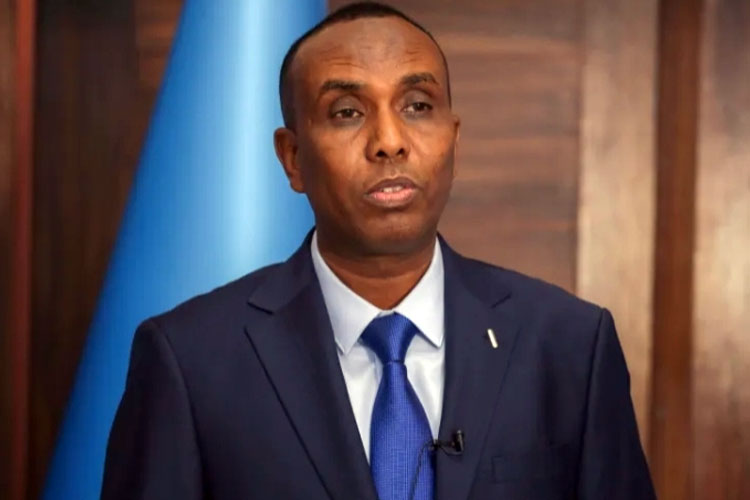 Akui Negara Somaliland, Israel Dikecam Banyak Negara