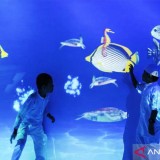 Padukan Teknologi dan Edukasi, Inilah Destinasi Ruang Imersif Terbaik di Jakarta