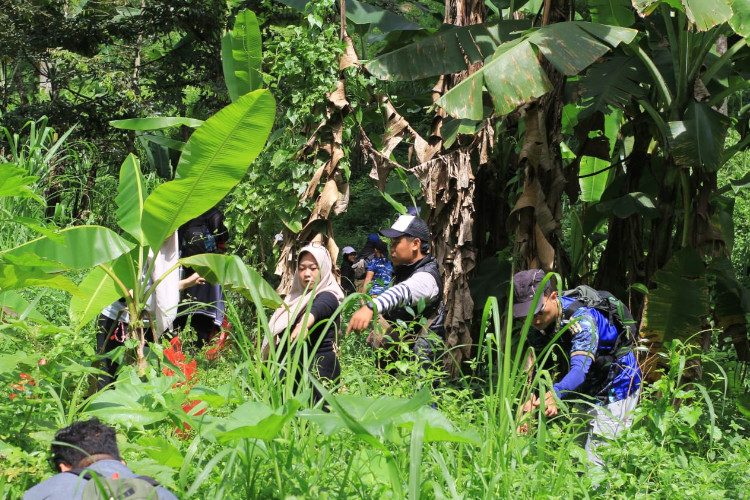 Gerakan 5000 Pohon Sesi Ketiga Digelar di Lereng Selatan Gunung Penanggungan