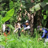 Gerakan 5000 Pohon Sesi Ketiga Digelar di Lereng Selatan Gunung Penanggungan