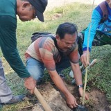 Liburan di Pantai Modangan dengan Tanam Pohon ala Aktivis Lingkungan Muhammadiyah