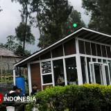Menepi Sejenak di Shalter Kopi Bromo