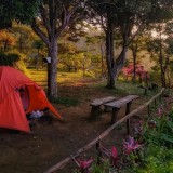 Rembangan: Healing on the Weekend while Enjoying Natural Beauty and Cool Air of Jember