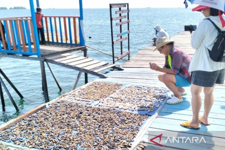 5 Surga Wisata Bahari Kaltim untuk Libur Tahun Baru