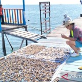 5 Surga Bahari Kaltim untuk Libur Tahun Baru