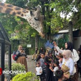 Pantura Lamongan Jadi Magnet Wisata Nataru, Kunjungan Tembus 89 Ribu Wisatawan