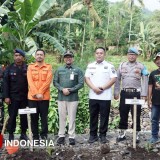 BPBD Bondowoso Tanam 2.000 Pohon di Lokasi Rawan Bencana