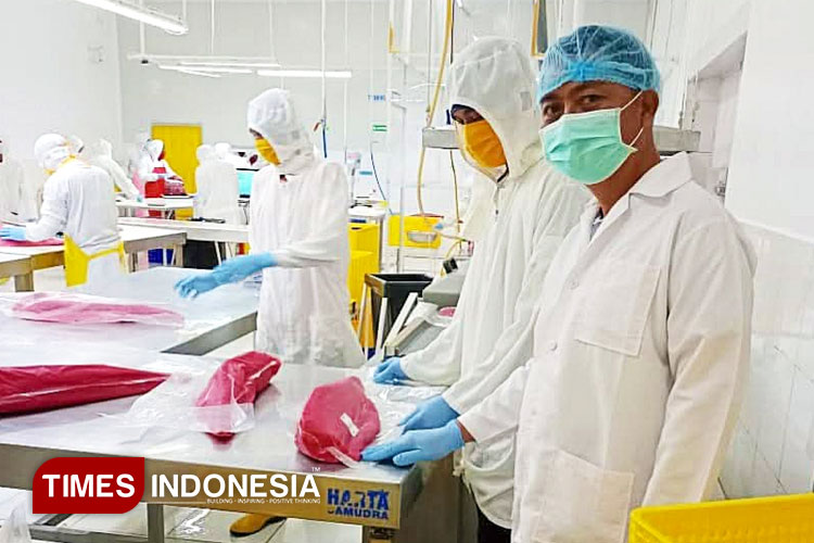 PT Harta Samudra Penyumbang PAD  Terbesar, Kebijakan LN 2026 Bidik Pasar Jepang