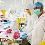 PT Harta Samudra Penyumbang PAD  Terbesar, Kebijakan LN 2026 Bidik Pasar Jepang