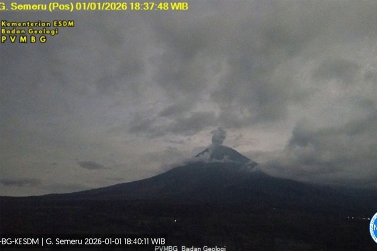Gunung Semeru Erupsi, Kolom Abu Capai 900 Meter