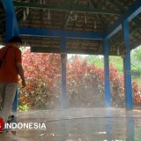 Kunjungan Wisata di Bondowoso Menurun Saat Libur Nataru Akibat Cuaca