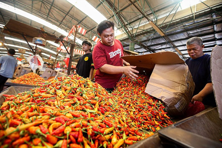 Awal 2026, Harga Cabai Rawit Merah Naik ke Rp70.500 per Kg
