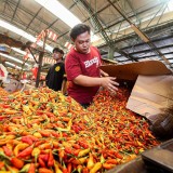 Awal 2026, Harga Cabai Rawit Merah Naik ke Rp70.500 per Kg