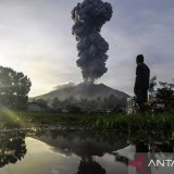 Awal Tahun 2026, Gunung Ibu Semburkan Abu Vulkanik Setinggi 800 Meter