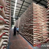 Pemerintah Pastikan Tak Ada Impor Beras dan Gula Konsumsi pada 2026