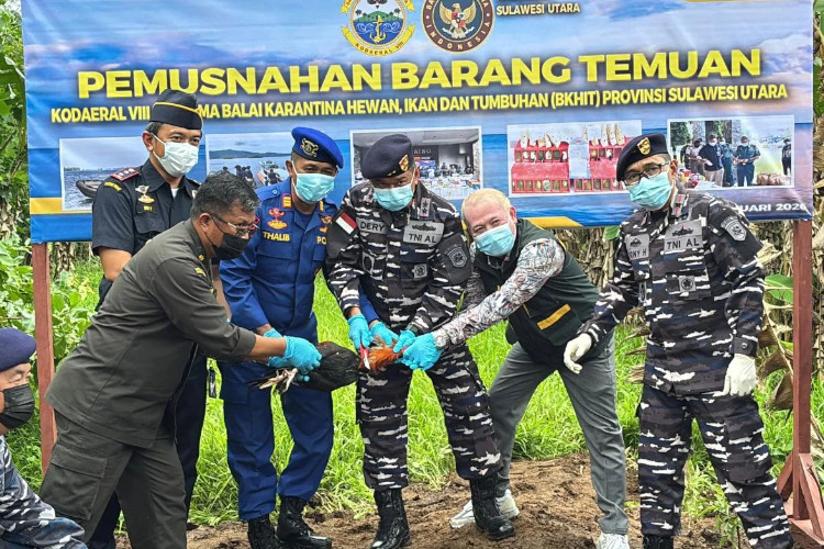 Putus Risiko Flu Burung, Barantin Musnahkan Ratusan Ekor Ayam Ilegal dari Filipina