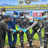 Putus Risiko Flu Burung, Barantin Musnahkan Ratusan Ekor Ayam Ilegal dari Filipina