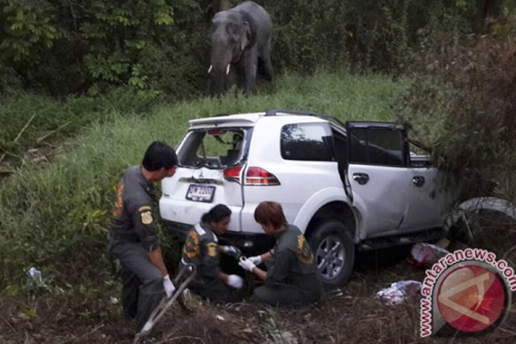 Libur Tahun Baru Berdarah di Thailand, 100 Orang Tewas dalam Lakalantas
