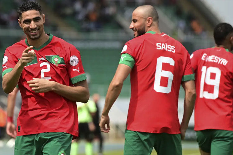 Julukan Tim-tim Afrika di Piala Afrika: Dari Singa, Elang, hingga Rubah Gurun