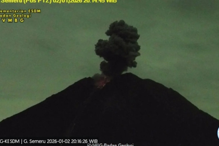 Semeru Erupsi Terus Menerusi, Kolom Abu Tembus 1 Kilometer
