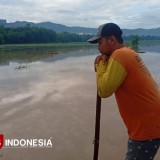 Imbas Hujan Semalaman, 20 Hektare Sawah di Desa Bancar Ponorogo Terendam Banjir