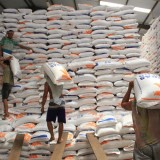 Bapanas: Indonesia Swasembada Beras, Stok Tembus 12,5 Juta Ton