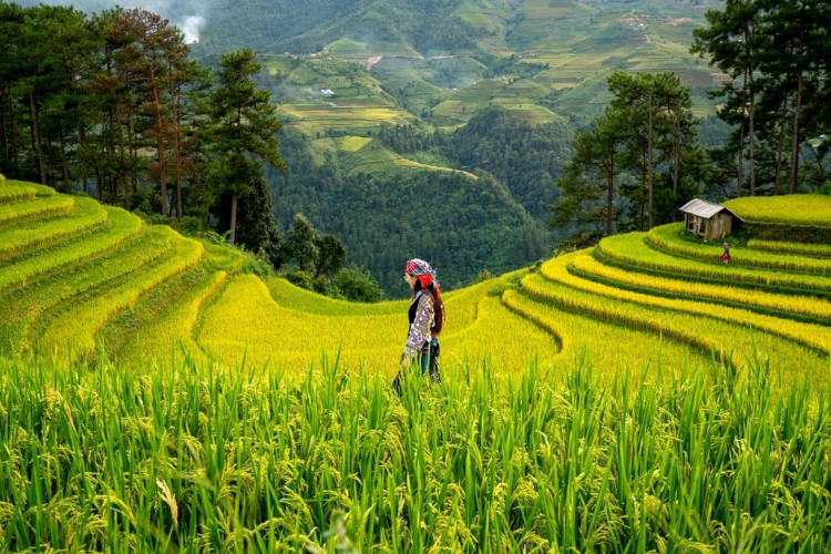 BPN Catat Sengketa Lahan di Bondowoso Didominasi Persoalan Waris