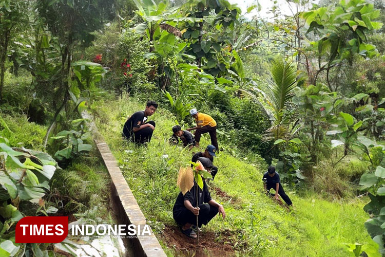 SMPN 2 Bandar Pacitan Sulap Lahan Kosong Jadi Kebun Buah untuk Gizi Siswa
