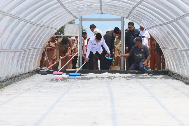 Kabupaten Malang Mampu Produksi Belasan Ton Garam Tunnel per Bulan