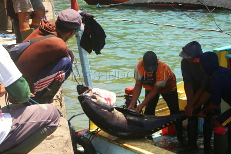Tangkapan Ikan Kabupaten Malang Ditarget Tembus 26 Ribu Ton di Tahun 2026