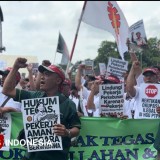 Konflik Lahan Kebun Kopi di Ijen, Pekerja PTPN Minta Negara Hadir