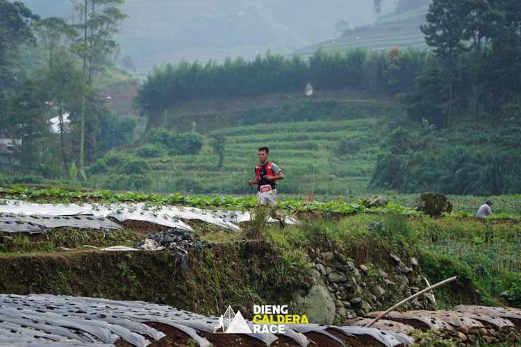 Dieng Caldera Race 2026 Bidik 2.500 Pelari, Rute Disesuaikan dan Layanan Medis Diperkuat