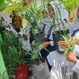 Sulap Lahan Tidur Jadi Apotek Hidup, SMPN 2 Tegalombo Pacitan Garap Taman Toga
