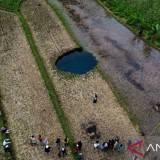 Fenomena Sinkhole di Limapuluh Kota, IAGI Sumbar Desak Kajian Geolistrik Demi Keselamatan Warga