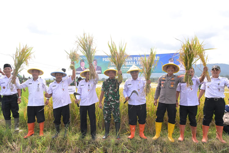 Surplus 45 Ribu Ton Beras, Banjarnegara Berkomitmen Sangga Ketahanan Pangan Nasional