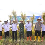 Banjarnegara Berkomitmen Sangga Ketahanan Pangan Nasional