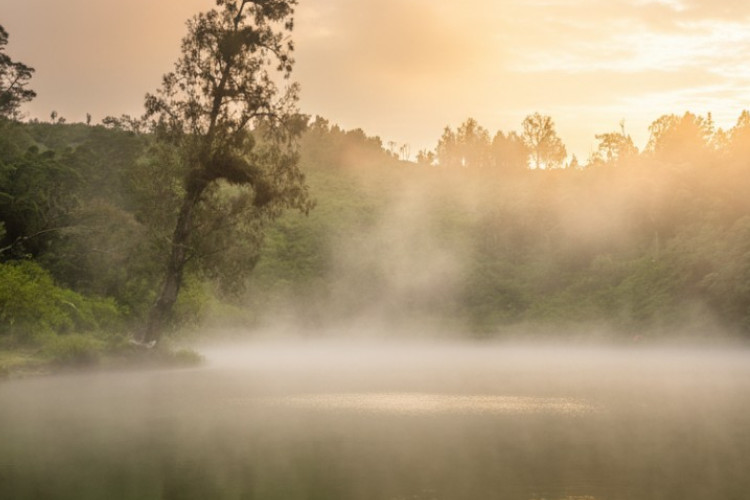 A Serene Morning at Ranu Regulo: Discovering East Java’s Lake Haven