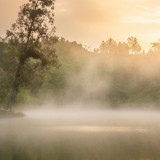 Discovr Misty and Serene Morning at Ranu Regulo East Java