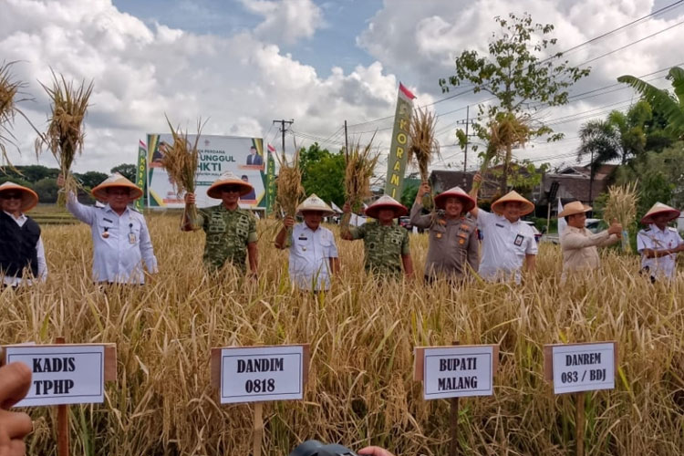 Bupati Malang Sebut Surplus Beras Capai 80 Ribu Ton