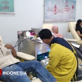 Jaga Stok Darah, PMI Jember Beri Beras 2,5 Kg bagi Pendonor