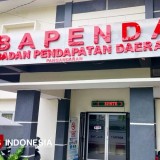 Penasaran Pendapatan Pajak Pangandaran Selama Tahun 2025? Ini Rinciannya