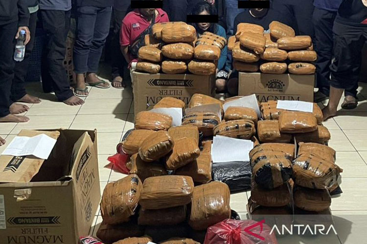 Polda Metro Jaya Gagalkan Peredaran 83 Kg Ganja di Bekasi