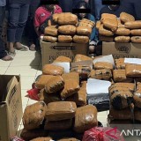 Penyergapan di Bekasi Timur, Polda Metro Jaya Sita 83 Kg Ganja