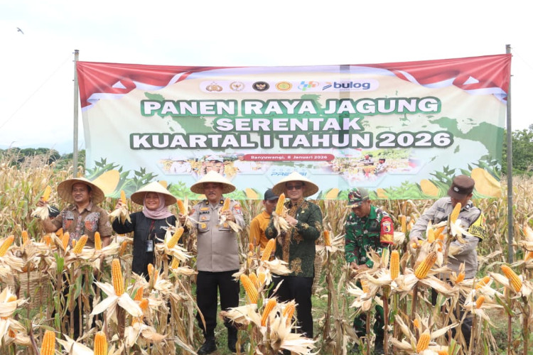 Polresta Banyuwangi Panen Raya 126 Ton Jagung