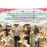 Polresta Banyuwangi Panen Raya 126 Ton Jagung